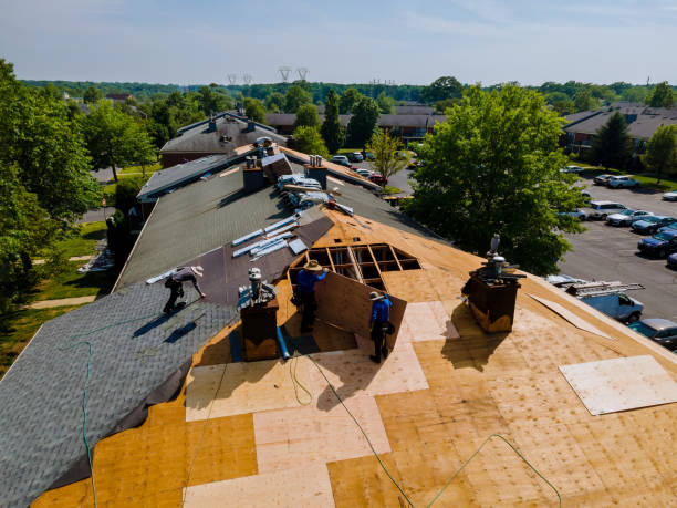 Best Roof Replacement Cost  in Martinsvle, IL