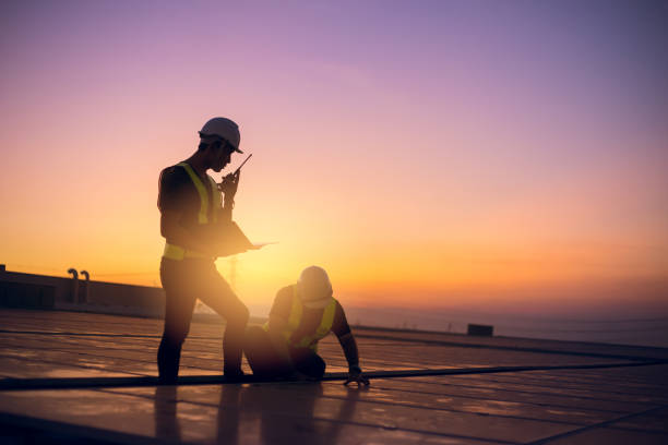 Best Roof Gutter Cleaning  in Martinsvle, IL