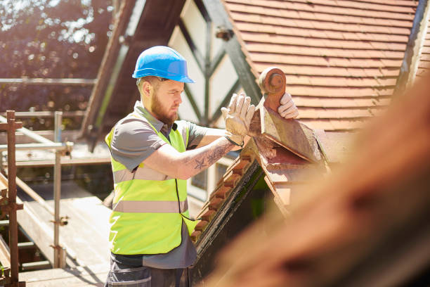 Best Roof Restoration Services  in Martinsvle, IL